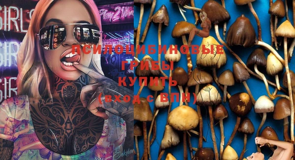 гашишное масло Белокуриха